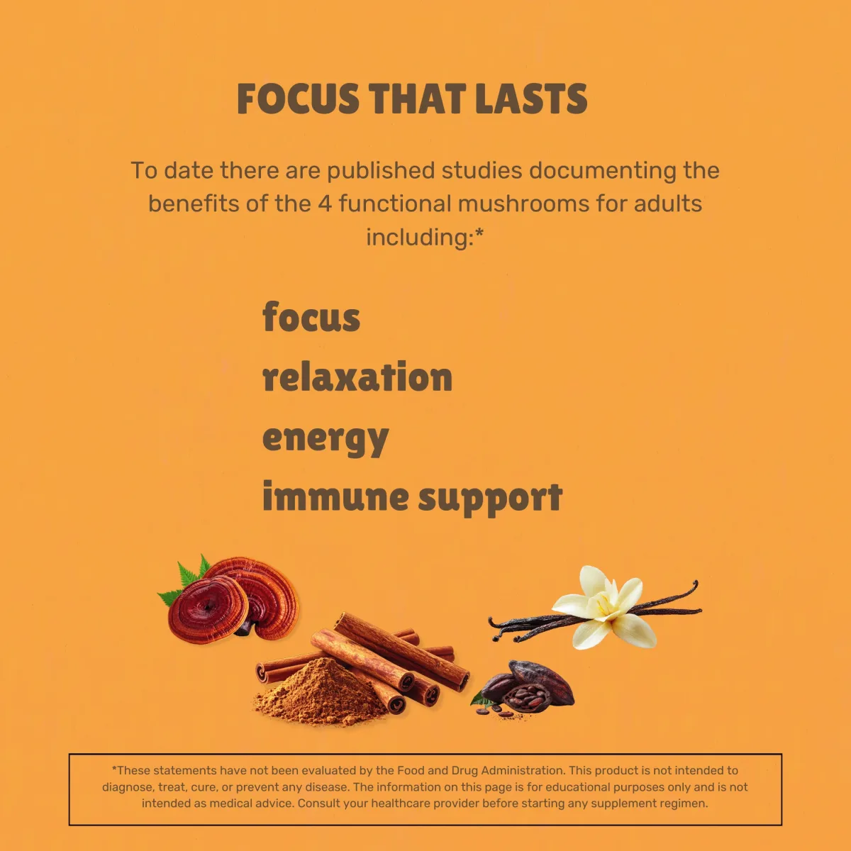 Todd's Mushroom Brew focus, relaxation, energy, and immune support benefits